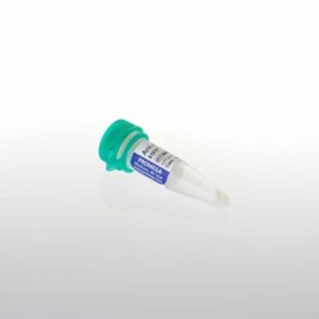 Buy Anti-Rabbit IgG (HandL) HRP Conjugate, 300ul in NZ.