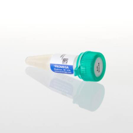 Anti-Mouse IgG HRP Conjugate, 300ul