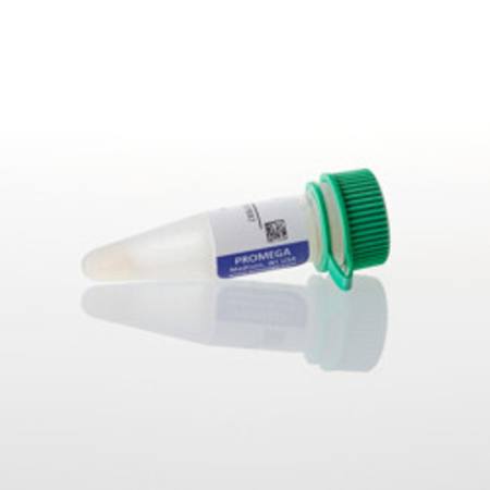 Buy Anti-Human IgG HRP Conjugate, 300ul in NZ. 
