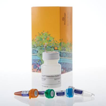 Buy Lumit(R) Human IL-1beta Immunoassay, 1000 assays in NZ.