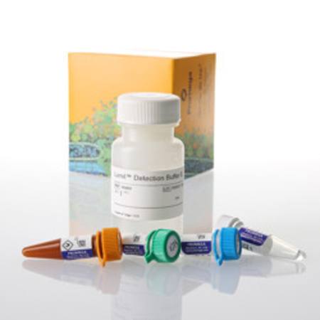 Buy Lumit(R) IL-2 (Human) Immunoassay, 1000 assays in NZ.