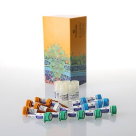 Buy Lumit(R) IL-2 (Human) Immunoassay, 500 assays in NZ.