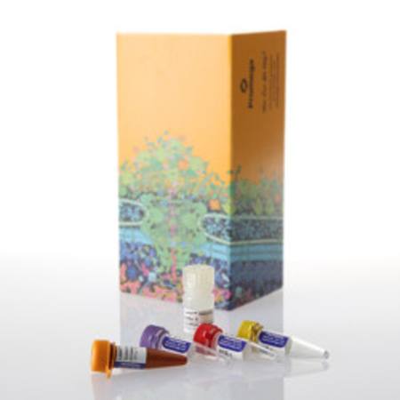 Buy Lumit(R) IL-6 (Human) Immunoassay, 100 assays in NZ.