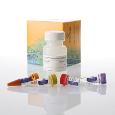 Buy Lumit(R) IL-6 (Human) Immunoassay, 1000 assays in NZ.