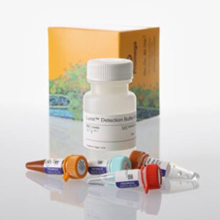 Buy Lumit(R) IFN-gamma (Human) Immunoassay, 1000 assays in NZ.