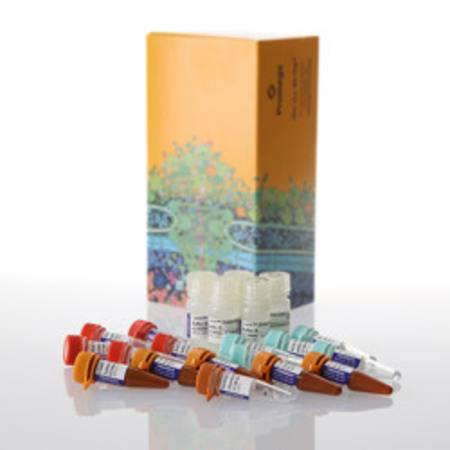Buy Lumit(R) IFN-gamma (Human) Immunoassay, 500 assays in NZ.