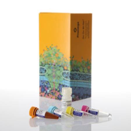 Buy Lumit(R) TNF-alpha (Human) Immunoassay, 100 assays in NZ.