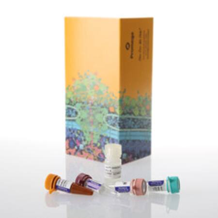 Buy Lumit(R) IL-4 (Human) Immunoassay, 100 assays in NZ.