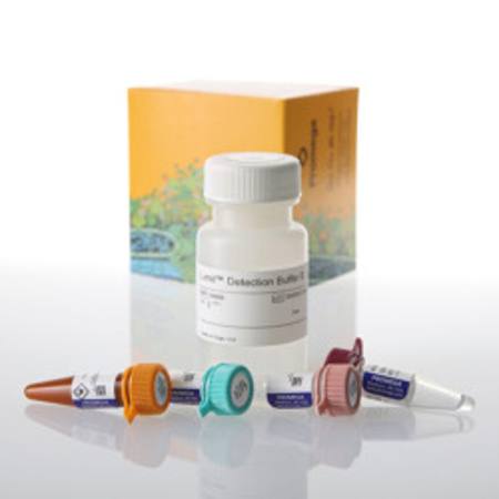 Buy Lumit(R) IL-4 (Human) Immunoassay, 1000 assays in NZ.