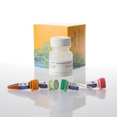 Buy Lumit(R) IL-10 (Human) Immunoassay, 1000 assays in NZ.