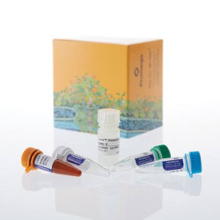 Buy Lumit(R) HMGB1 (Human/Mouse) Immunoassay, 100 assays in NZ.