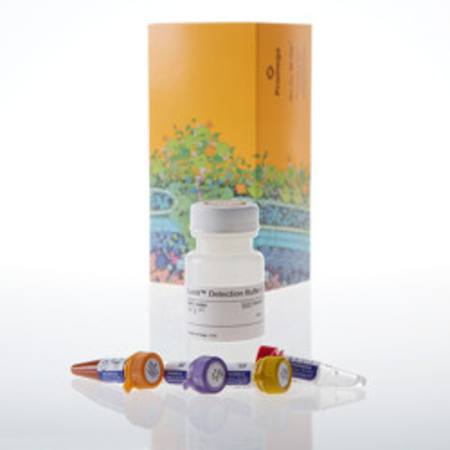 Buy Lumit(R) Mouse IL-1beta Immunoassay, 1000 assays in NZ.