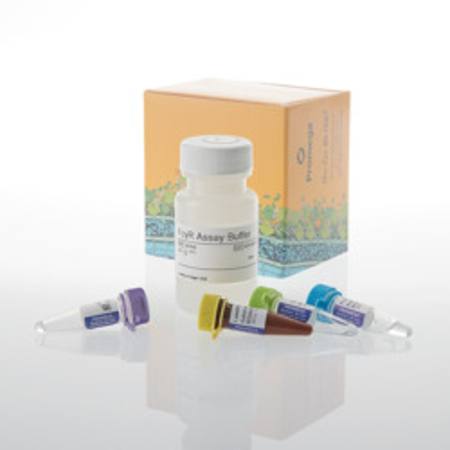 Buy Lumit(R) FcgammaRIIa (R131) Binding Immunoassay, 100 assays in NZ. 