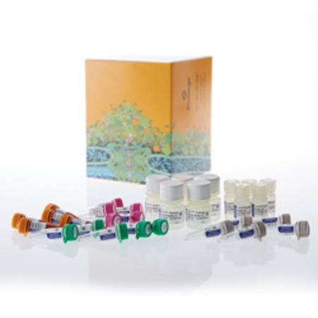 Buy Lumit(R)Glucagon Immunoassay, 500-2000 assays in NZ.