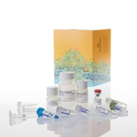 Buy ReliaPrep(TM) FFPE Total RNA Miniprep System, 10 Reactions in NZ. 