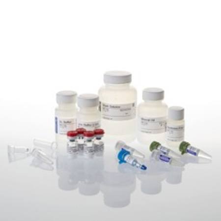 Buy ReliaPrep(TM) FFPE Total RNA Miniprep System, 100 Reactions in NZ. 