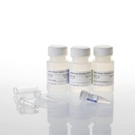 Buy ReliaPrep(TM) RNA Clean-up and Concentration System, 50 Prep in NZ.