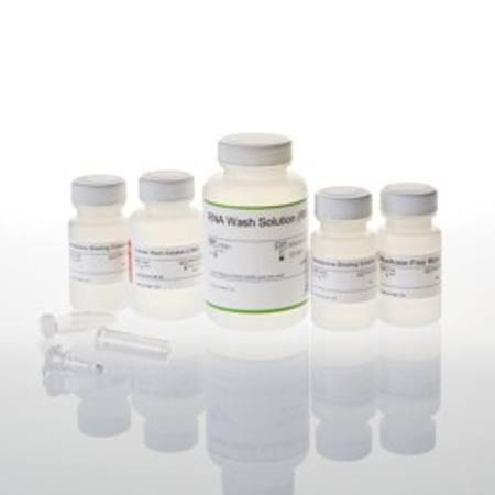 Buy ReliaPrep(TM) RNA Clean-up and Concentration System, 250 Prep in NZ. 