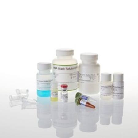 Buy SV Total RNA Isolation System (50 preps) in NZ.