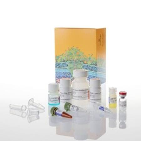 Buy SV Total RNA Isolation System Trial Size (10 preps) in NZ. 
