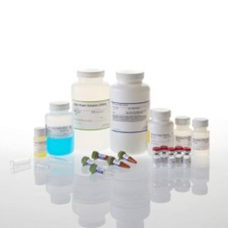 Buy SV Total RNA Isolation System, 250 preps in NZ.
