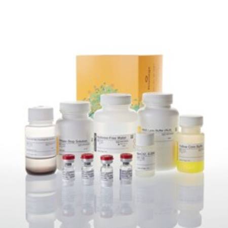 Buy MagneSil(R) Total RNA Mini-Isolation System in NZ.