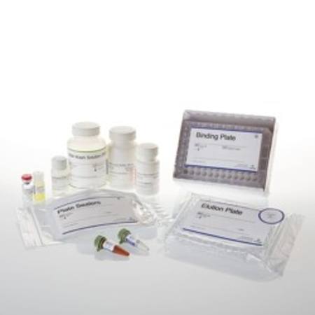 Buy SV 96 Total RNA Isolation System, 1 x 96 in NZ. 