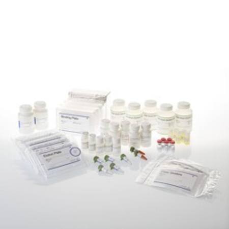 Buy SV 96 Total RNA Isolation System, 5 x 96 in NZ.