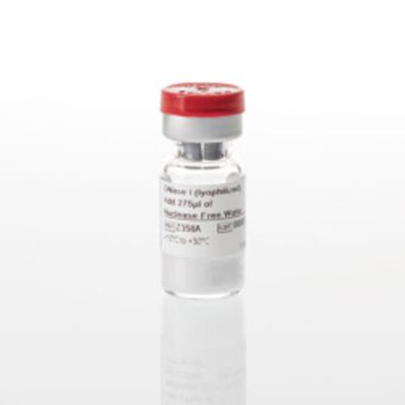 Buy DNase I (lyophilized) in NZ.
