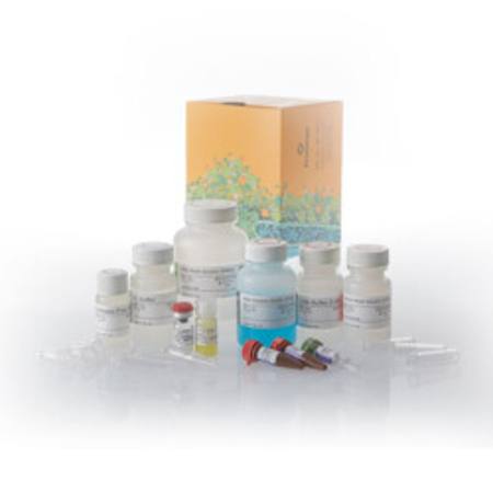 Buy ReliaPrep(TM) RNA Miniprep System, 50rxn in NZ. 