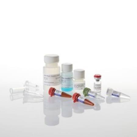 Buy ReliaPrep(TM) miRNA Cell and Tissue Miniprep System, 10 Prep in NZ. 