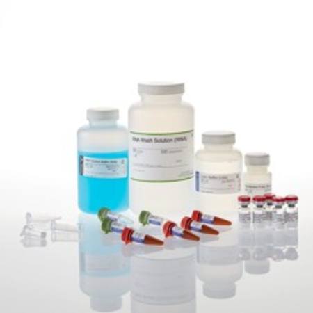 Buy ReliaPrep(TM) miRNA Cell and Tissue Miniprep, 250 Prep in NZ.
