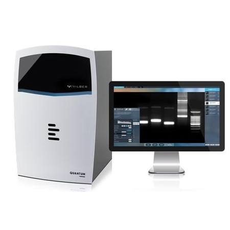 Buy QUANTUM Gel Documentation System in NZ. 