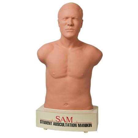 Buy Cardionics Student Auscultation Manikin in NZ. 