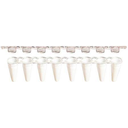 SSI 8-strip low-profile PCR tubes + 8-strip flat caps, white