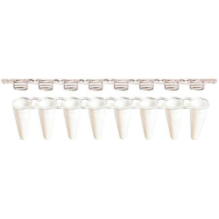 SSI 8-strip low-profile PCR tubes + 8-strip flat caps, white